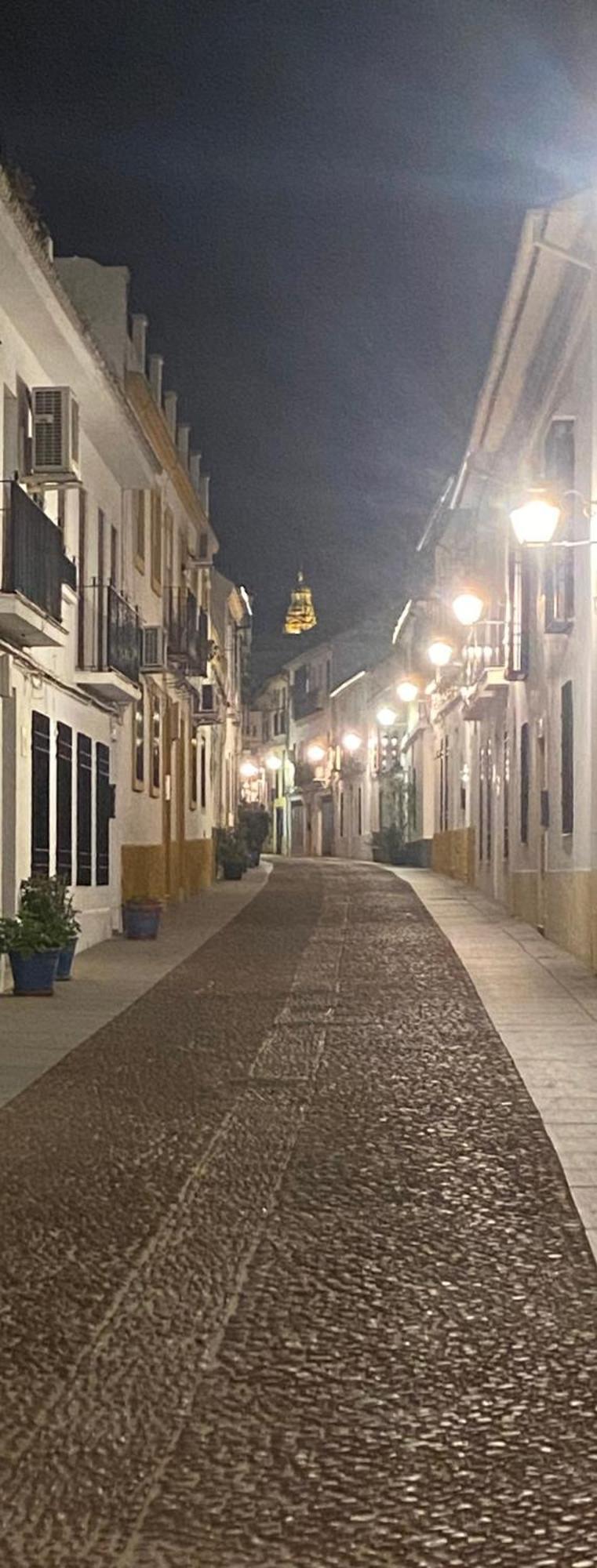 Enmitatiko Alcazar Viejo Córdoba Exterior foto